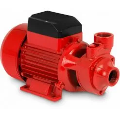 EBERTH Pompe à Eau De Jardin, Pompe Centrifuge, Raccord 1 Pouce, 750 Watts, Hauteur Daspiration 8 M, Hauteur De Refoulement 60 M, Débit 3000 L/h, Auto-amorçante, électrique 230 V Pour Eau Claire